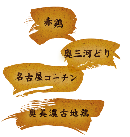 赤鶏奥三河どり名古屋ｺーチン