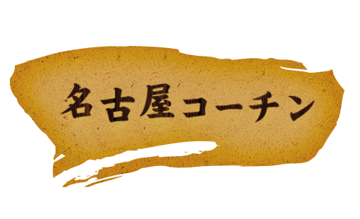 名古屋ｺーチン